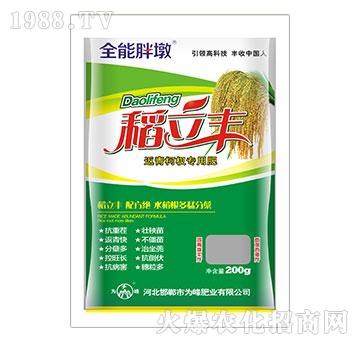 S-辌(zhun)÷-
