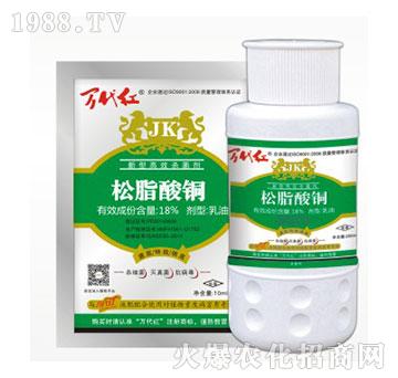 18%֬~-f(wn)t-G