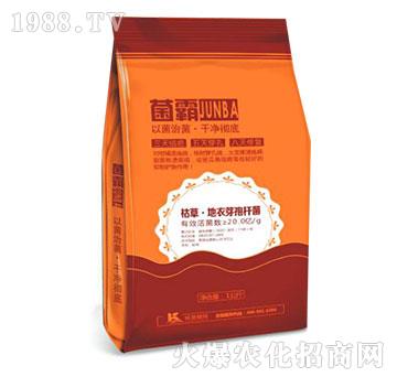 �ݲݡ�����ѿ�ߗU��-����-����ֲ��