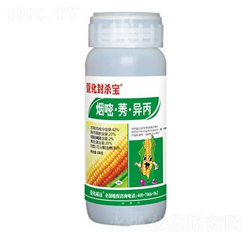 42%סݬ-滯⚢-滯h