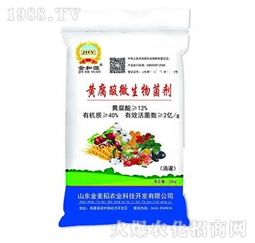 �S����΢�������-���Դ-������