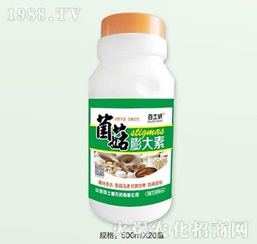 ���������-��ʿ��