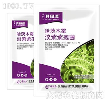 ���ġ��������߾�-�漚��-̩����