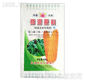 L(zhng)Ч׌(zhun)Ó-SA