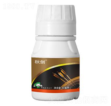 5%ʭ����-�-�S�՘�(l��)