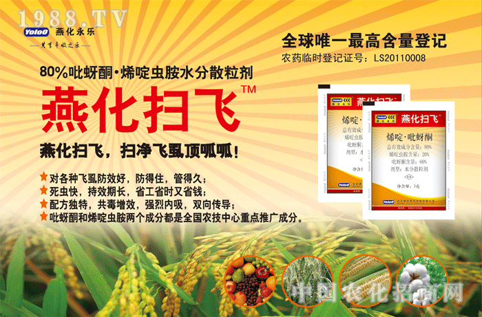 �໯���w����ȫ��Ψһ��ߺ�����ӛ