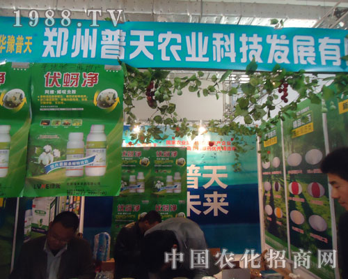 ���������r�I(y��)�\��ȫ����������