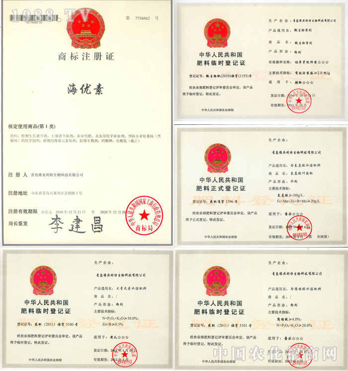 ���u�S����������Ƽ����޹�˾�s�u(y��)չʾ