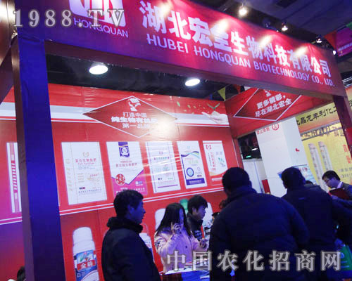 ��ȫ��˾����ӱ�ֲ����չ���F(xi��n)��������