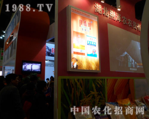 �����G���r(n��ng)�F(xi��n)�����ݷ��ϕ�(hu��)