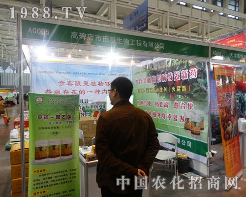 ���������ٴ������29���Ї�ֲ����