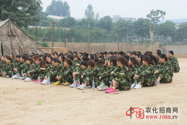 組建團(tuán)隊(duì),一個(gè)都不能少