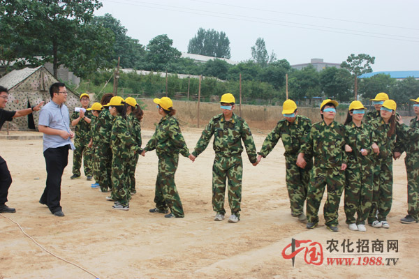 牧羊犬,信任為關(guān)鍵