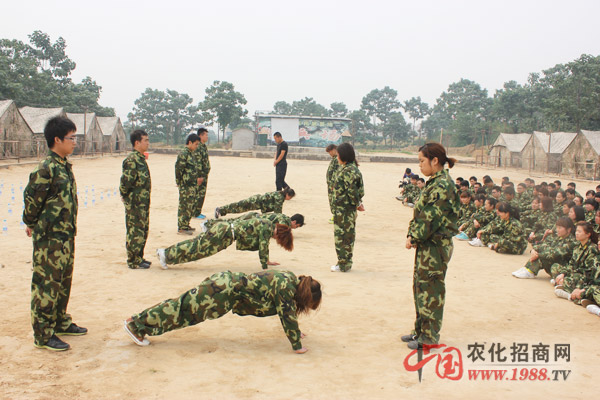 組建團(tuán)隊(duì)