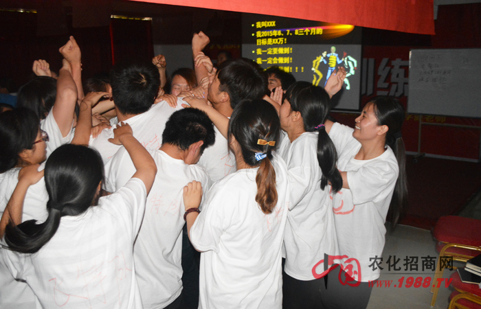 全力以赴,與團(tuán)隊(duì)共成長