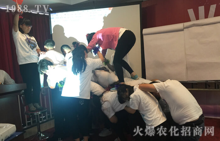拖延導(dǎo)致平庸,行動(dòng)成就