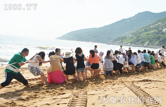 �Y(ji��)��ͬ�� �L(f��ng)��ͬ��