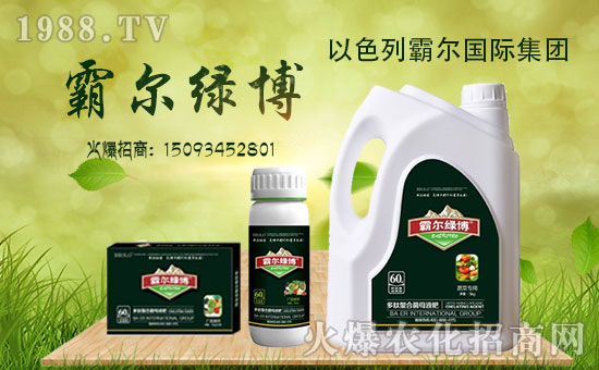 _副本【霸爾國(guó)際】送福啦!祝您金雞納福,財(cái)源豐茂,萬(wàn)事吉祥!
