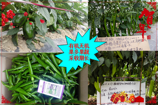 廣州市先益農農業(yè)科技有限公司
