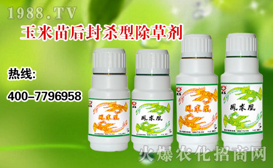 【順天農(nóng)業(yè)】祝大家:幸福萬(wàn)年長(zhǎng),快樂(lè)無(wú)邊疆,好運(yùn)更健康!