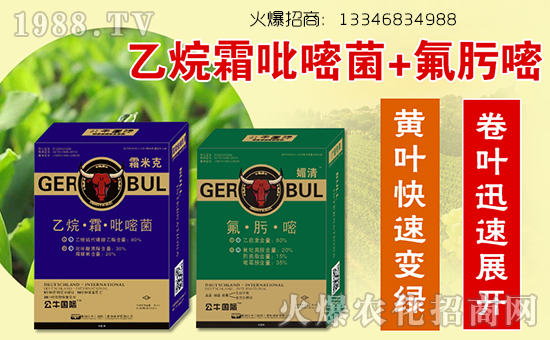 德國公牛(國際)植物保護有限公司