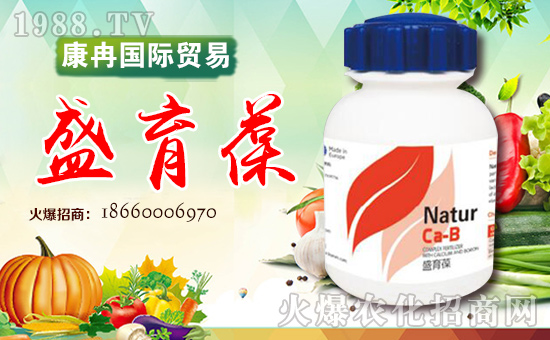 煙臺康冉國際貿易有限公司3