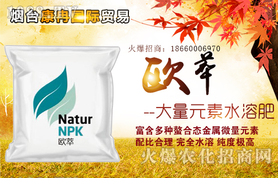 煙臺康冉國際貿易有限公司5