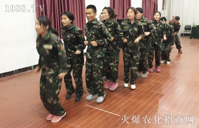要么全力以赴,要么走人