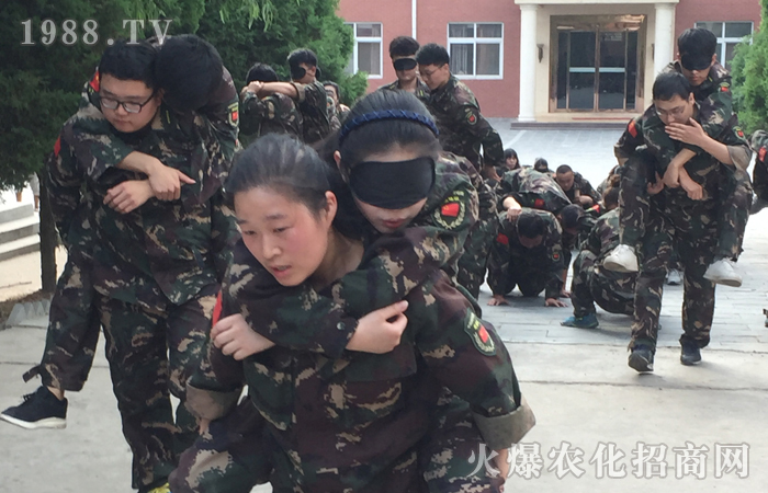 心之所向,素履以往