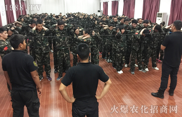 做好自己,全力以赴