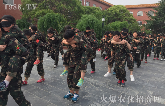 主動出擊,追求心中的夢!