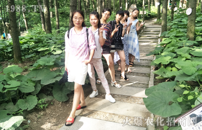 登白云山,領略大自然風采!