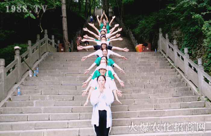 云在山中飄,人在畫中游之洛陽白云山