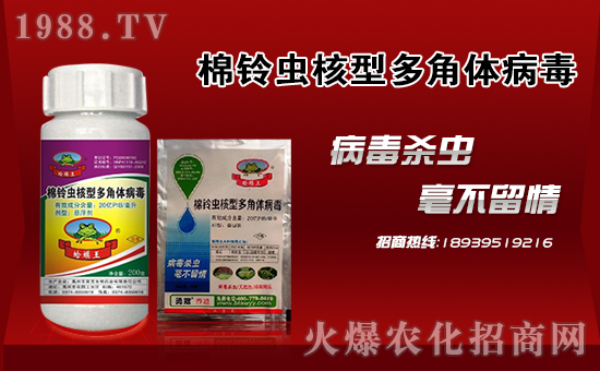 【勇冠喬迪】祝大家在新的一年里萬事如意,狗年大吉!