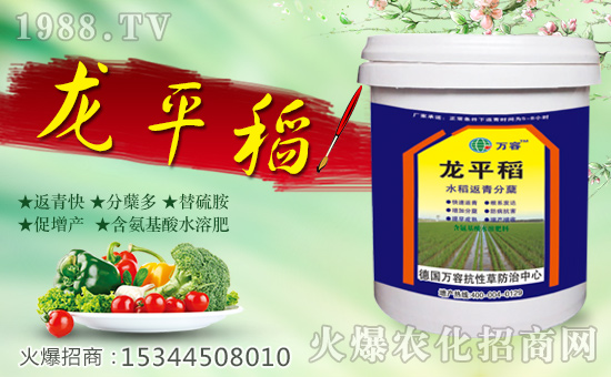 【德國萬容】全體員工恭祝全國經(jīng)銷商身體健康,狗年發(fā)大財(cái)!