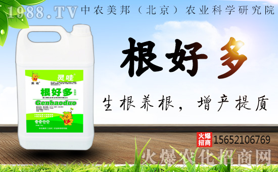 中農(nóng)美邦(北京)農(nóng)業(yè)科學研究院