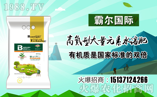 【霸爾國(guó)際】祝全國(guó)朋友在新的一年里工作順利,步步高升!