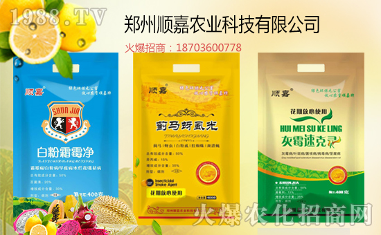 【順嘉農(nóng)業(yè)】祝大家狗年里身體健康,萬事如意!