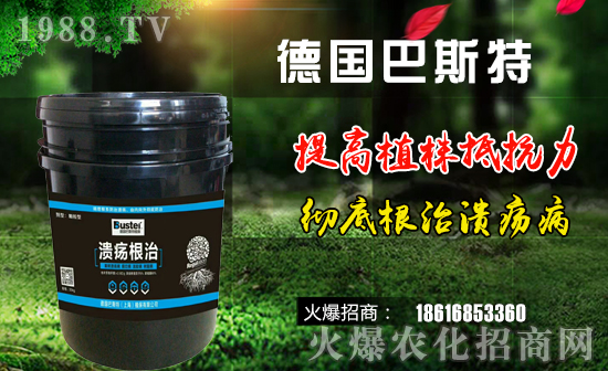 【德國巴斯特】祝大家狗年大吉,萬事如意!