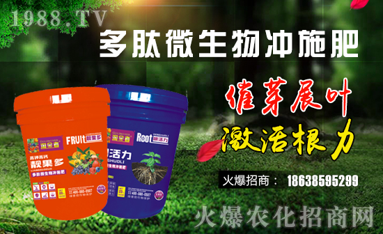 【美國(guó)綠普信】祝愿一路陪伴的朋友們身體健康,狗年吉祥!