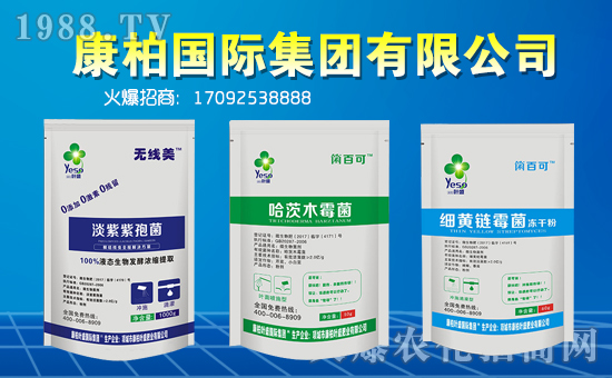 【康柏國(guó)際】祝福一路相伴的朋友們?cè)谛碌囊荒昀镄腋C罎M,闔家歡樂!