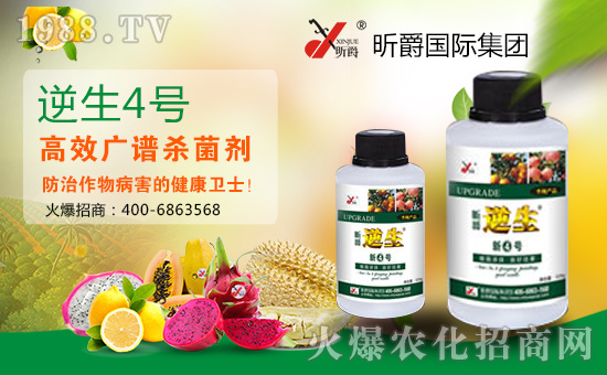 張燈結(jié)彩新春到,鞭炮聲聲人歡笑。開開心心無煩惱,順順利利事業(yè)高!值此新春佳節(jié)來臨之際,昕爵國(guó)際集團(tuán)祝大家在新的一年里財(cái)源滾滾來!