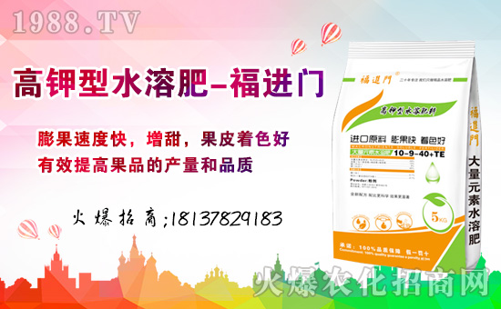 春節(jié)到,財神到!幸運(yùn)之神伴隨著我的祝福到,新的一年更加珍重,明年生活錦上添花,福進(jìn)門水溶肥祝福您新年大發(fā)!