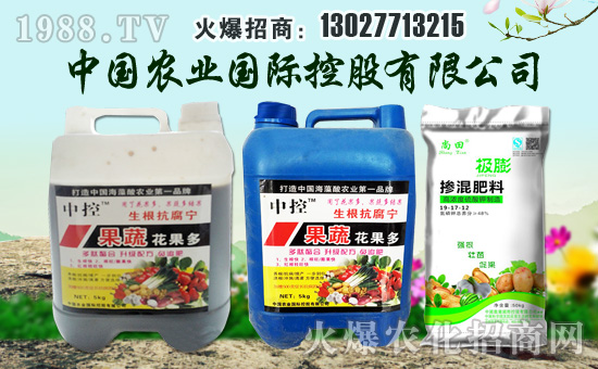 【中國農(nóng)業(yè)國際控股】祝您合家歡樂、萬事如意!