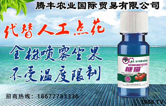 騰豐農(nóng)業(yè)國際貿(mào)易有限公司