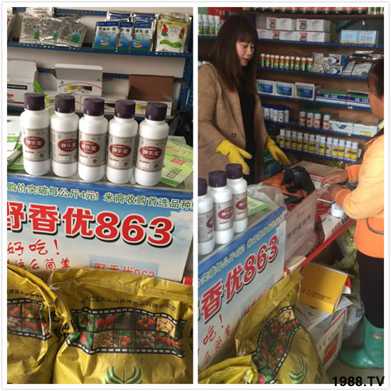 英國(guó)奧睿施特種肥料有限公司