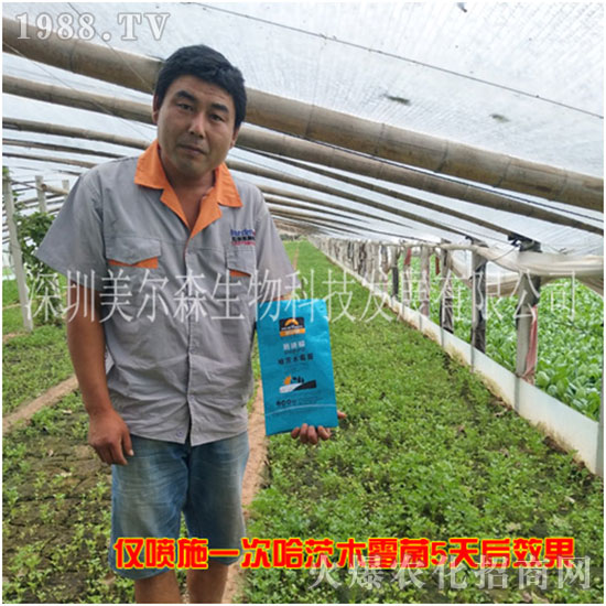 【美爾森生物】主大吉在新的一年里身體健康!心想事成!萬(wàn)事如意!