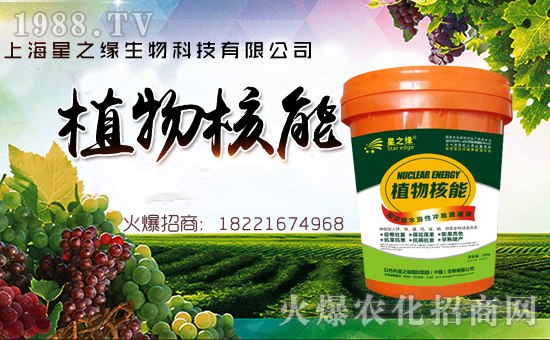 【上海星之緣】祝大家在新的一年里身體健康,萬事如意!