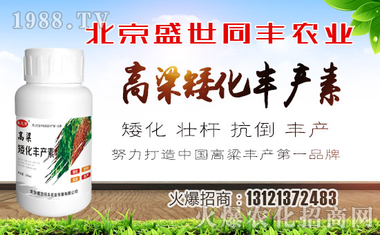 【盛世同豐】祝全國朋友狗年大吉,萬事如意!