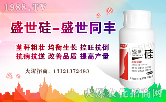 盛世硅-禾之雨-盛世同豐